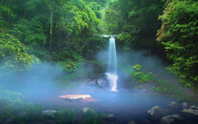 植物大战僵尸